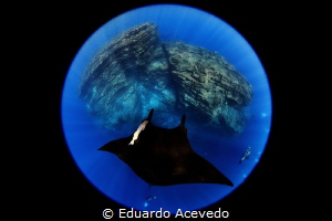 CANON 8-15MM.Revillagigedo Island by Eduardo Acevedo 